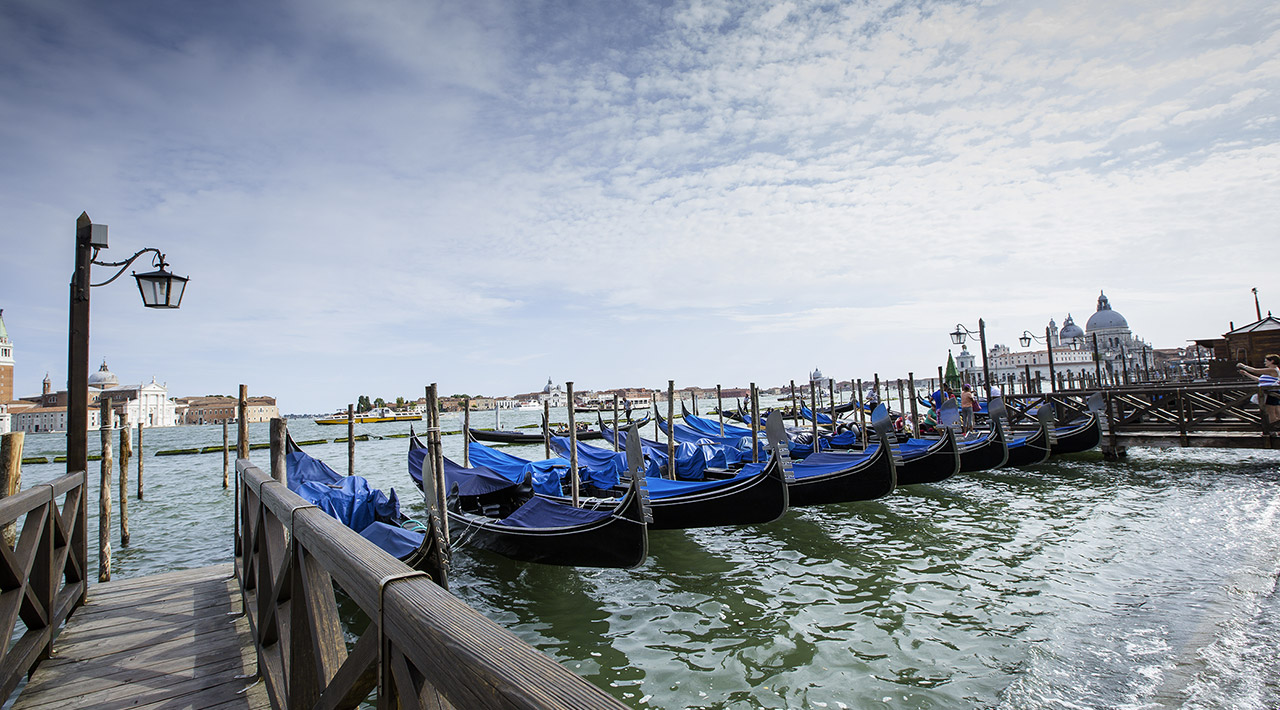 MCY 105 World Premiere